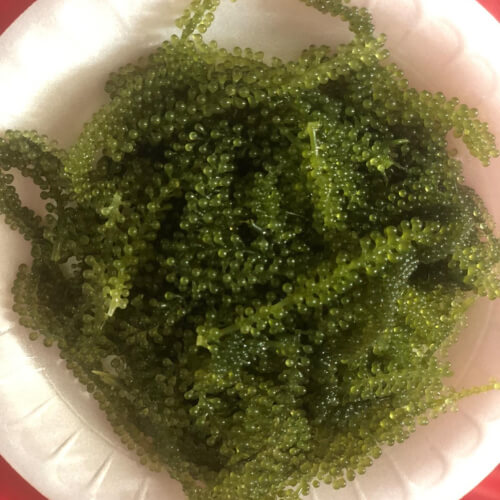 review
