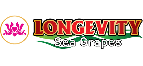 Longevity Sea Grapes – Superfood From The Ocean